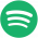 Spotify Logo Icon